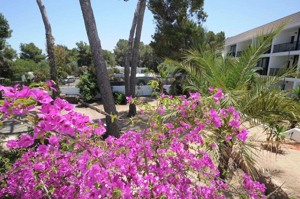Chalet Torralba - Villa At Hotel Osiris سان أنطونيو المظهر الخارجي الصورة